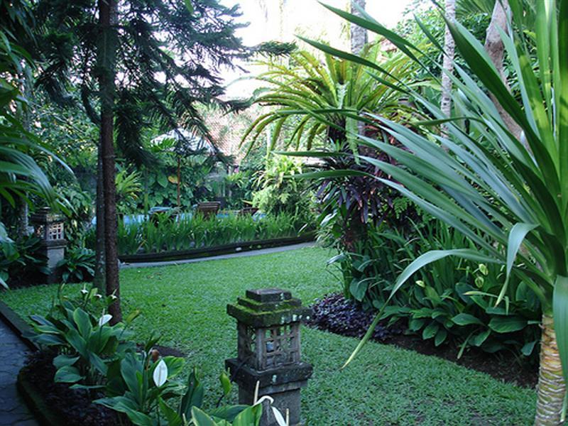 Adi Cottage Ubud Esterno foto